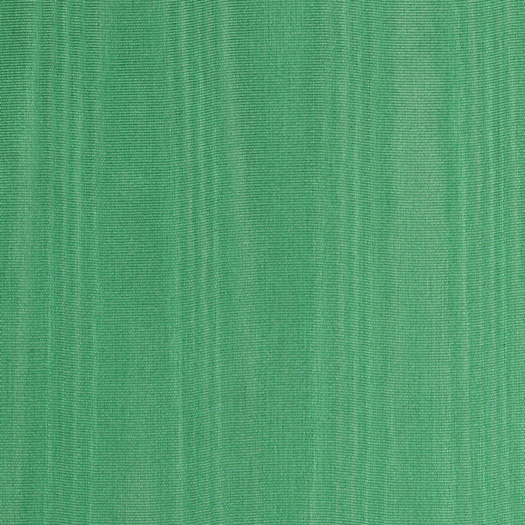 Green Moire Colors on a white background