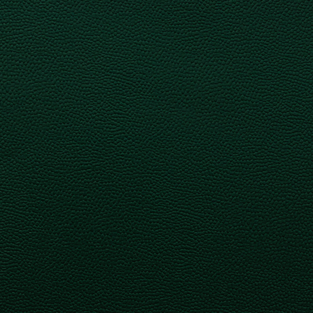 Green Moroccan Material on a white background
